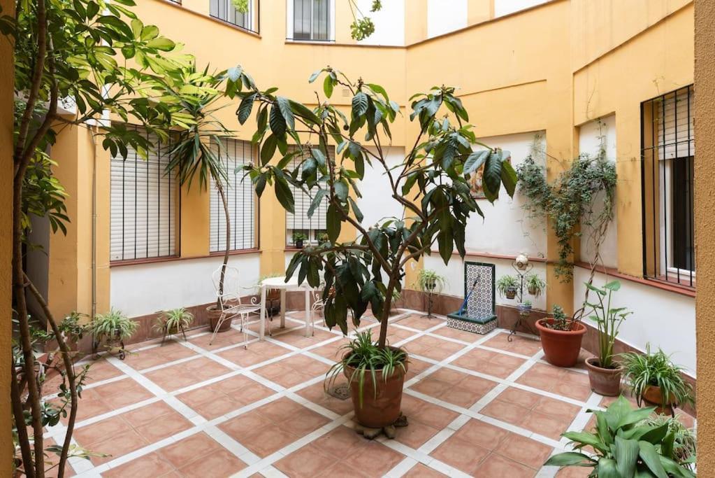 Mia Suite. Center Of Sevilha Exterior foto
